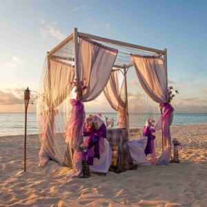 the grand indian wedding company, mumbai, india